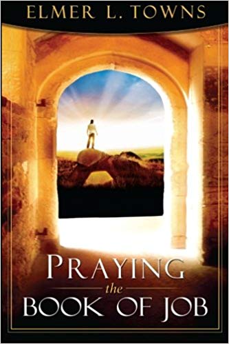 Praying The Book Of Job PB - Elmer L Towns
